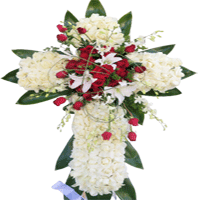 For The Service Image
